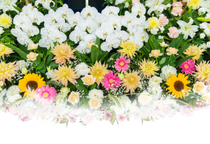 お祝いの花から斎場での葬儀や葬式での花祭壇・供花、枕花そして仏花・法要アレンジまで