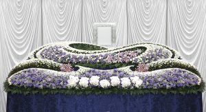 祭壇花
