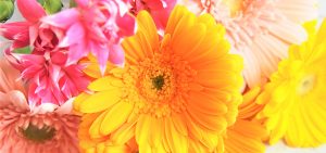 お祝いの花から斎場での葬儀や葬式での花祭壇・供花、枕花そして仏花・法要アレンジまで