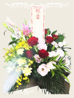 ¥13,200(税込) アレンジ