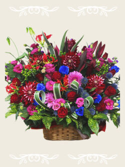 ¥11,000(税込) アレンジメント